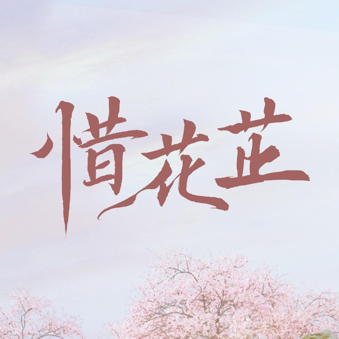 电视剧惜花芷