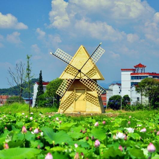 美+美.喜事管家.订婚.结婚547228