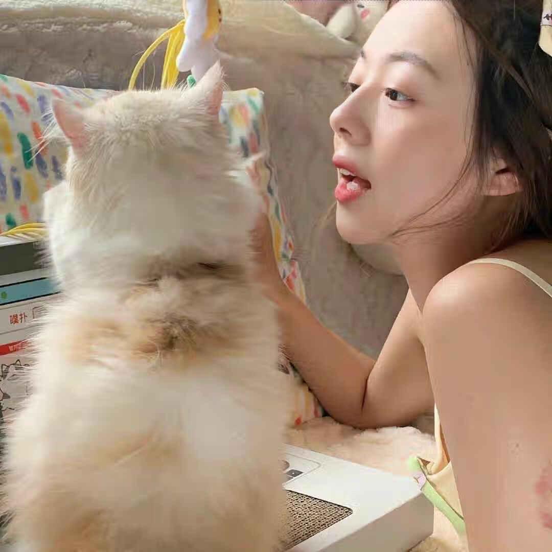 愤怒香菜拯救世界