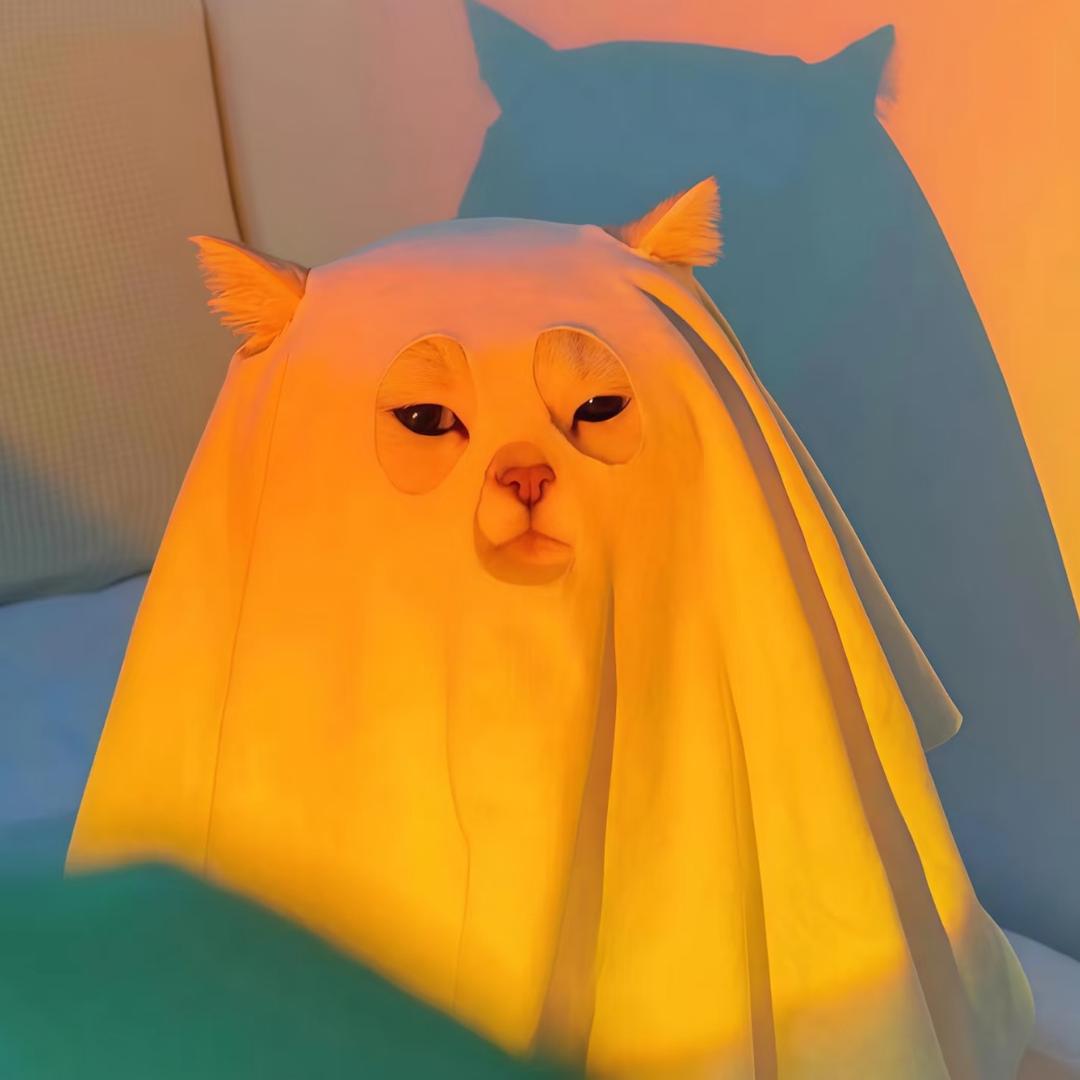 妮