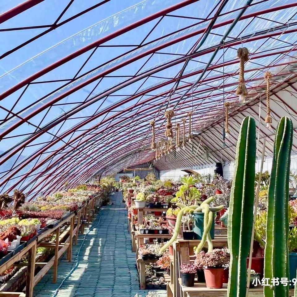 青山半朵多肉植物园