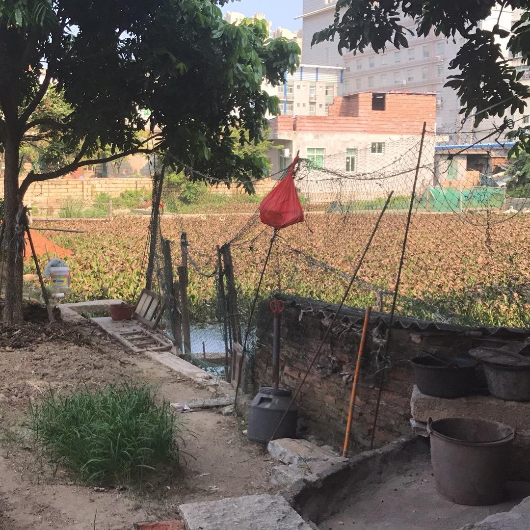 小美爱带娃(女性护理专场）