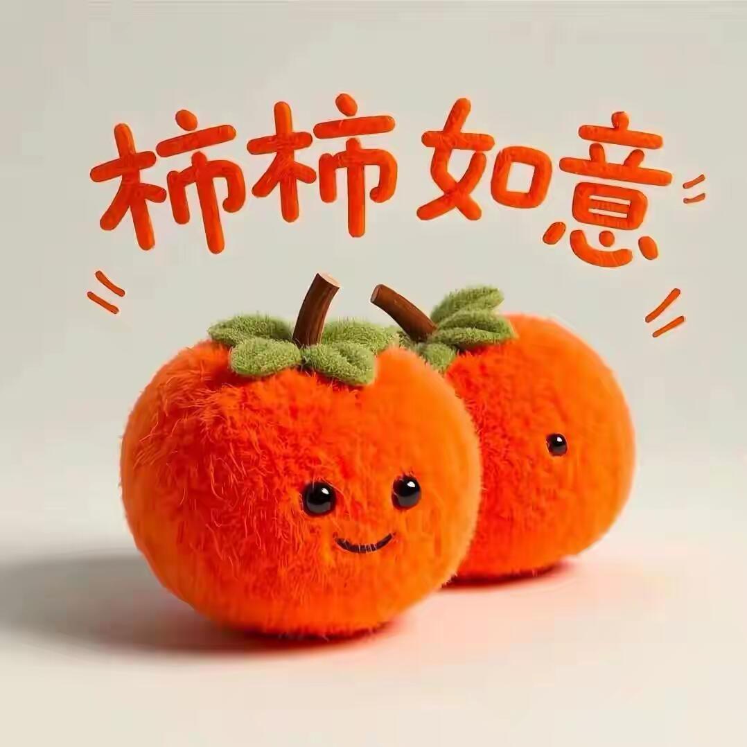 柿柿如意❤️