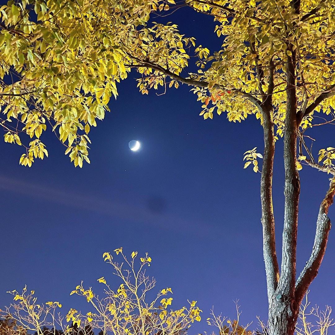 渔不鱼（爱野钓）