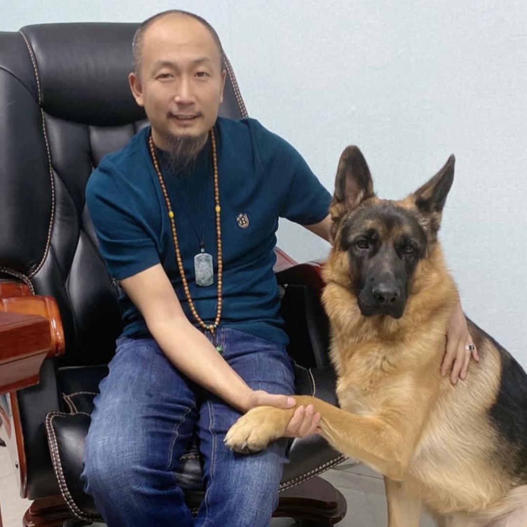 七月的跑山猪
