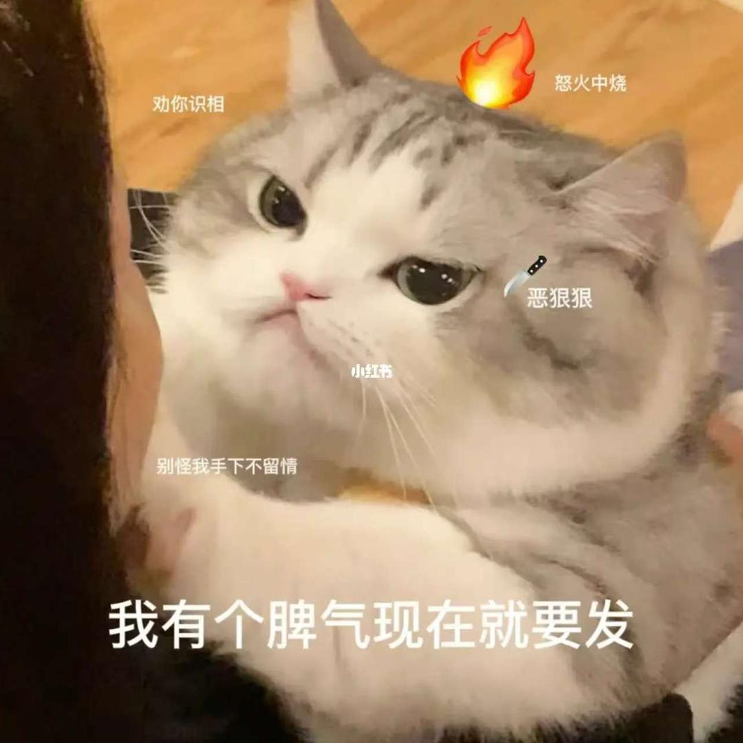 奇了个怪了