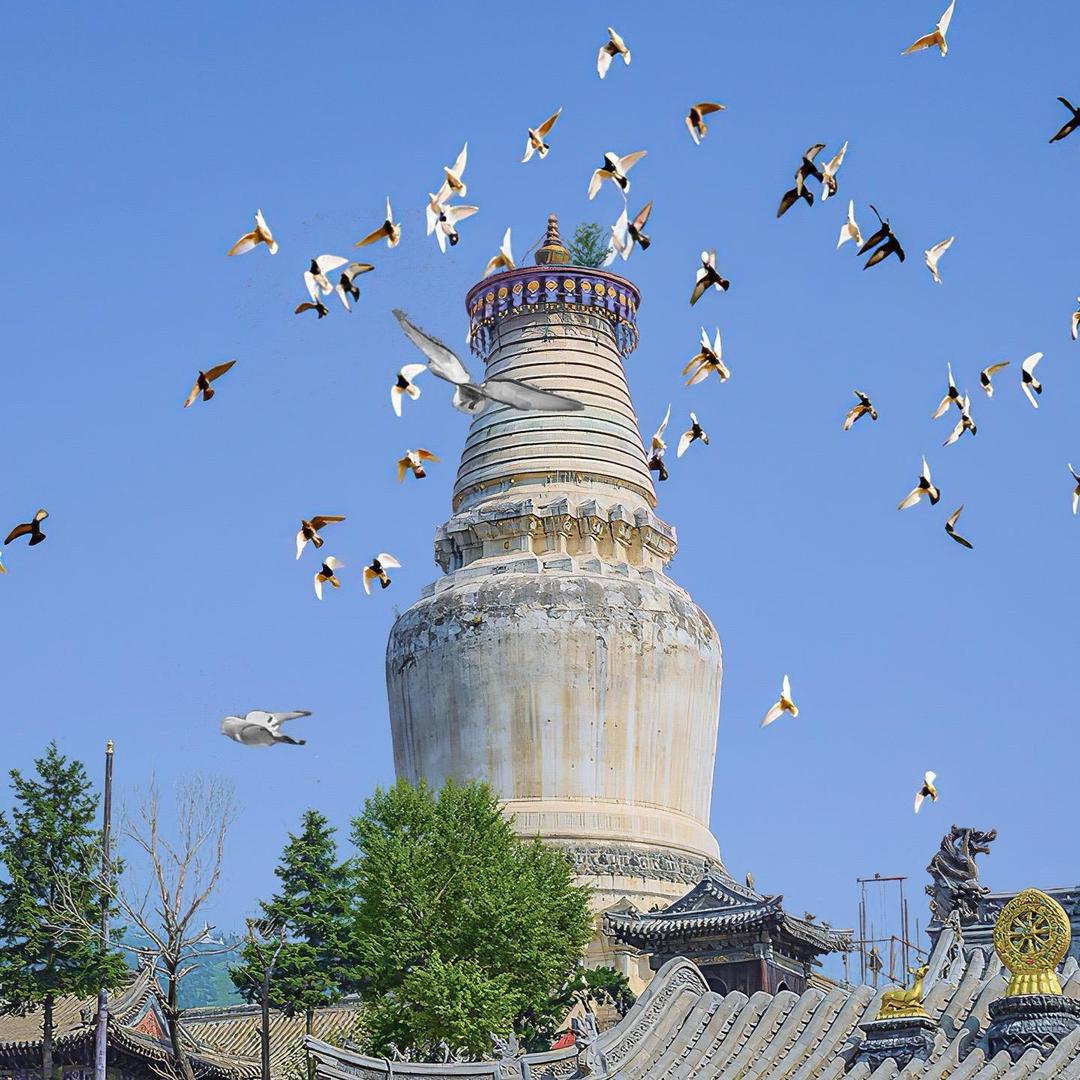 十年°