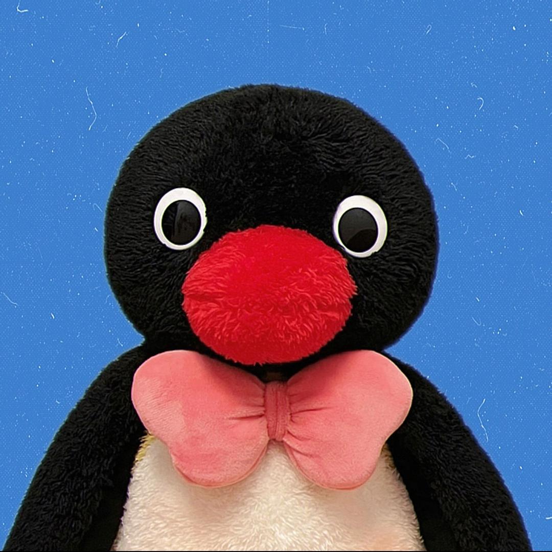 一條快樂的椰豬🥕