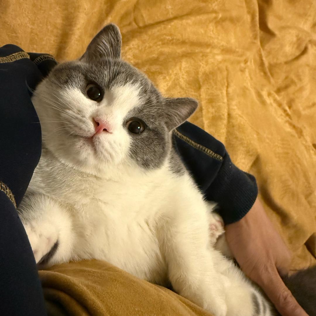 这个冬天有点冷