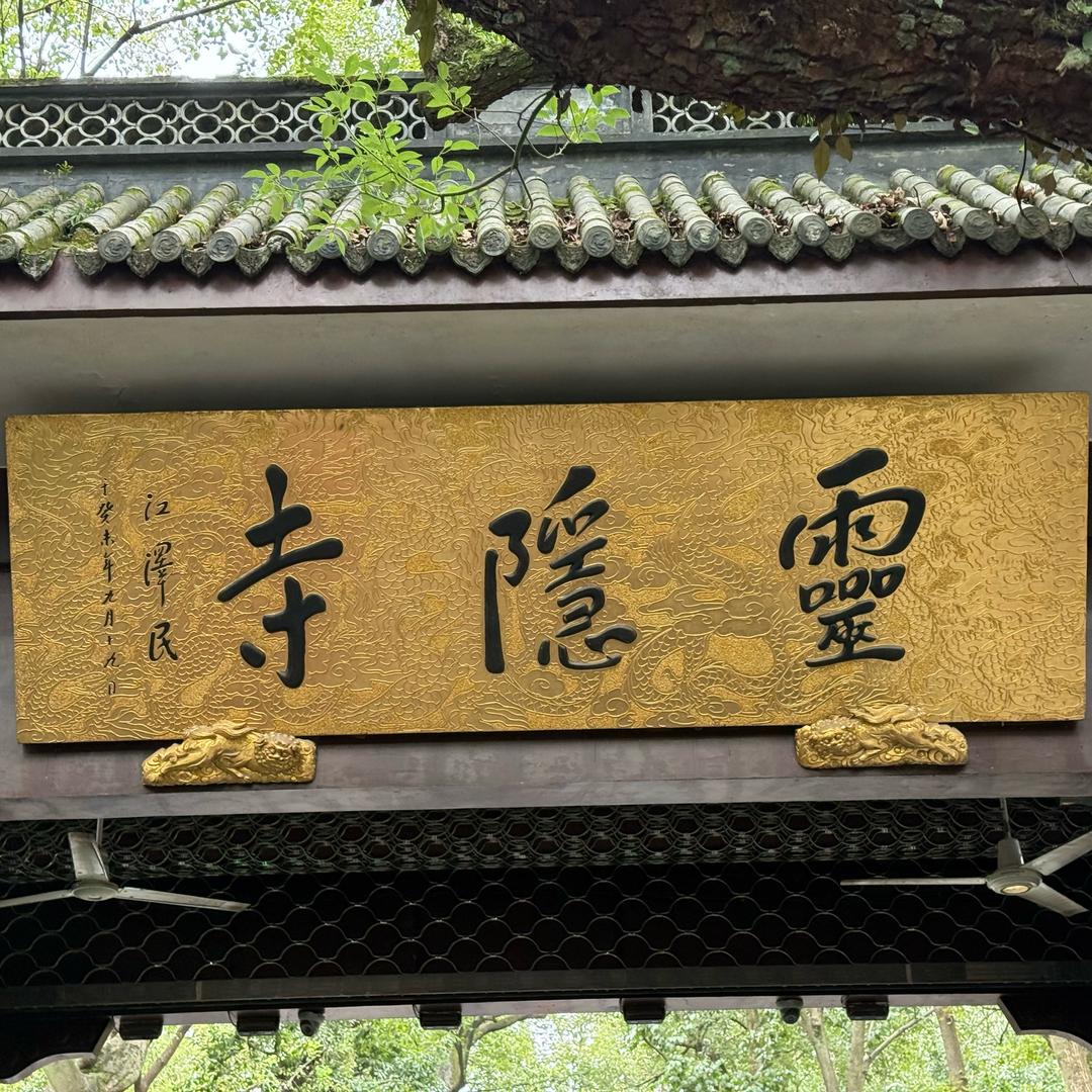 向阳花