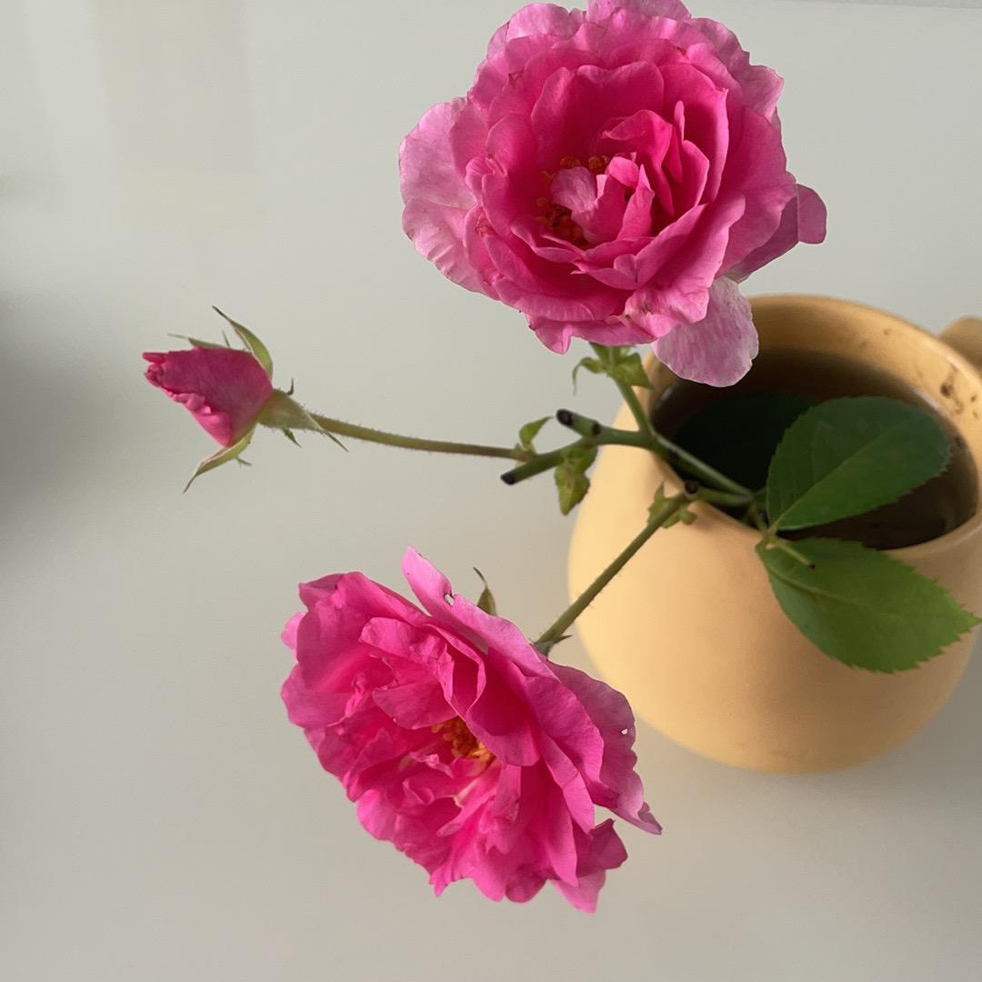 宁姐纯粮小烧酒