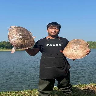 大甲鱼仿野生养殖1