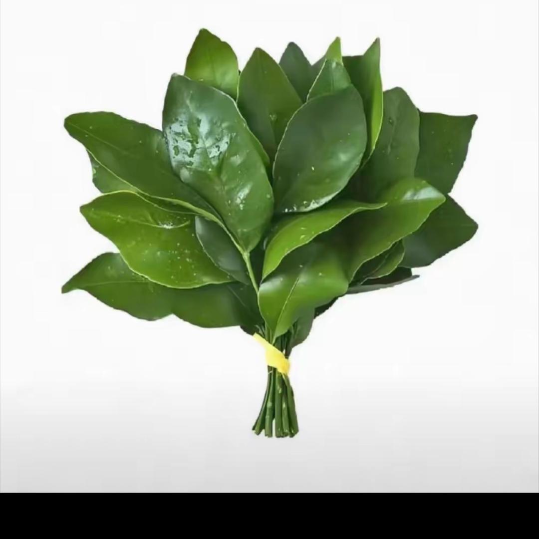 @：胖虎