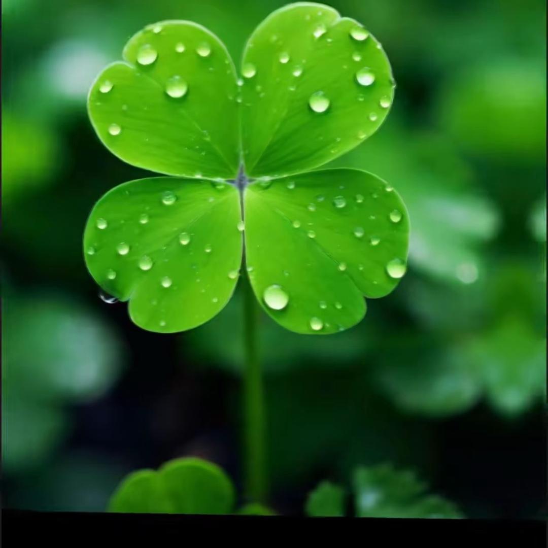 六部曲沃王海艳