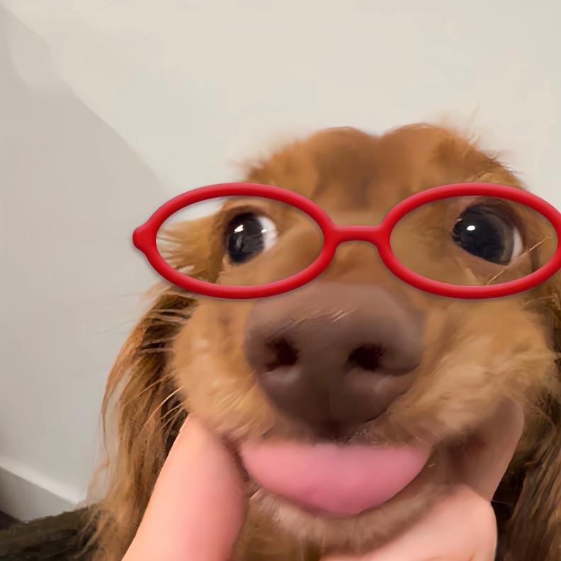 南阳tnt酒吧