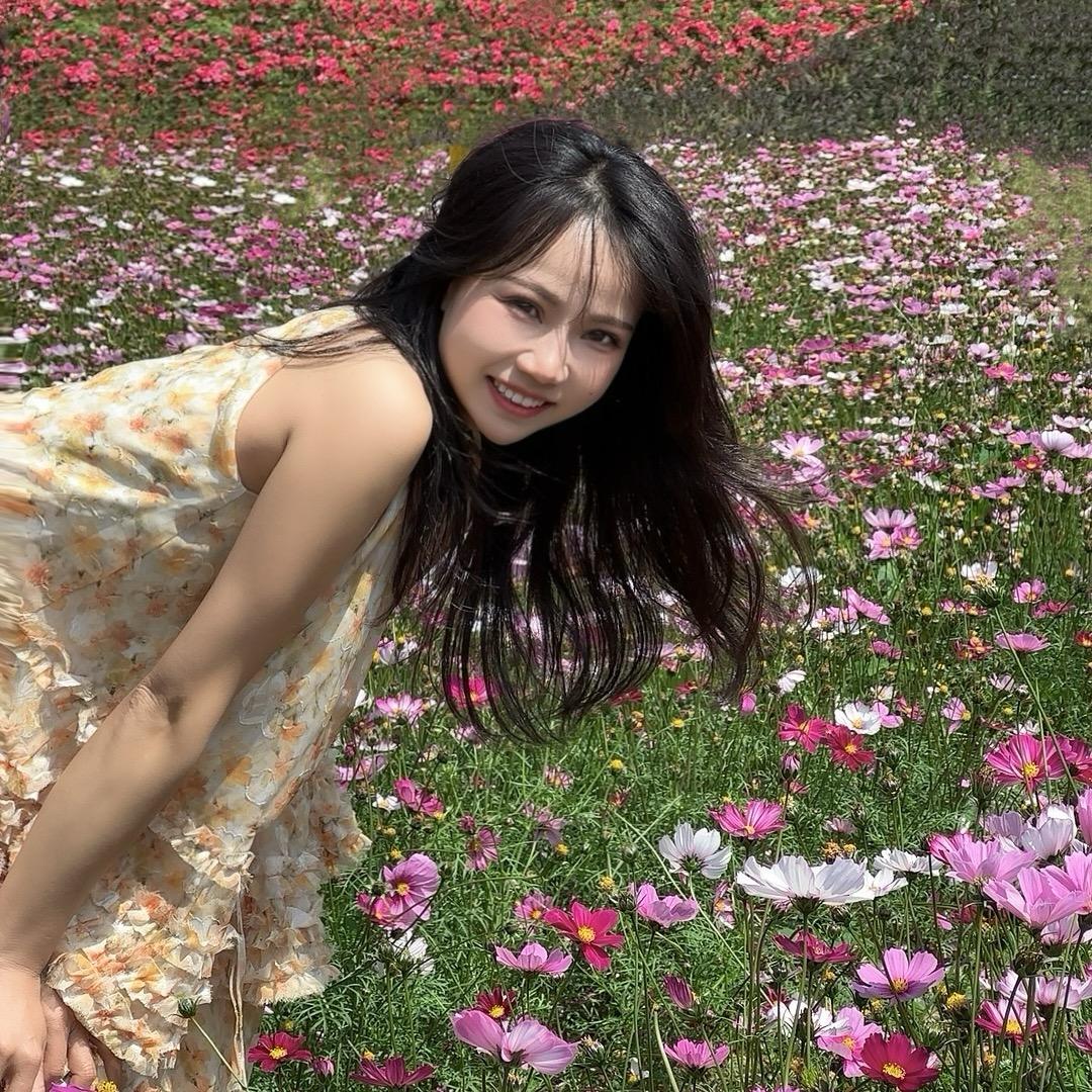 是扬扬吖