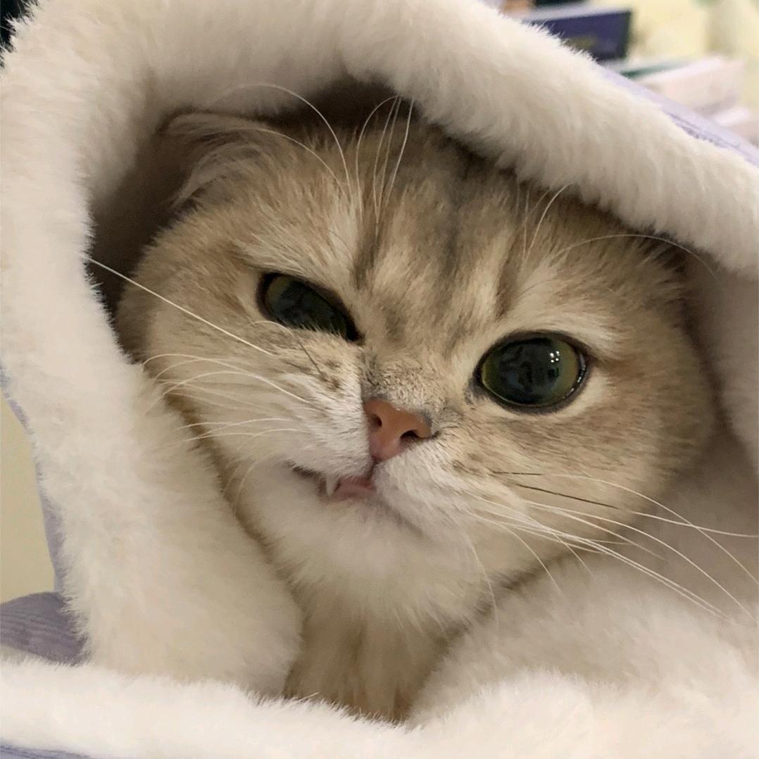 Lumos.