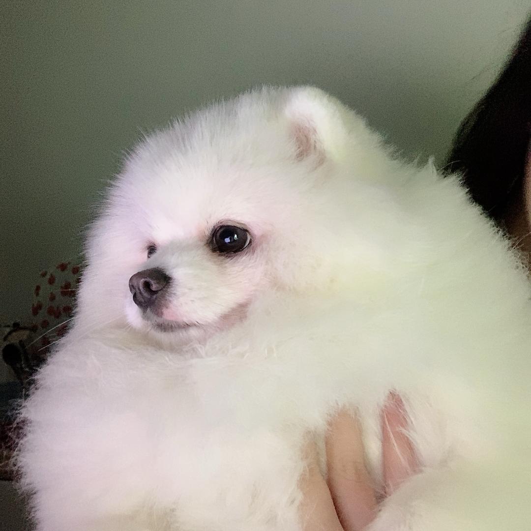 林驰精选