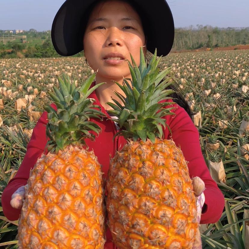 树上熟香甜多汁