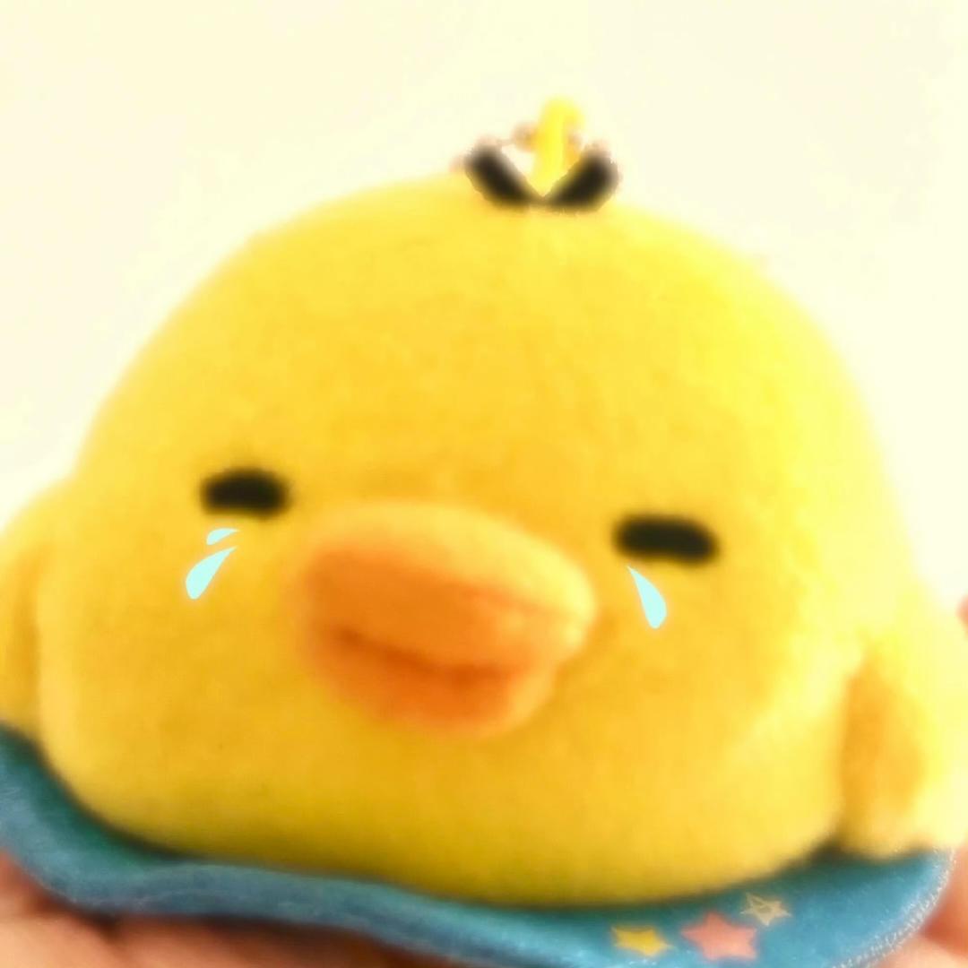 球场阿堡