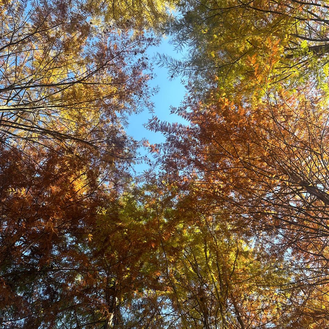 老衲洗头用飘柔