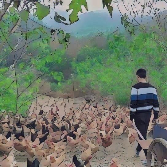 小玉米农场