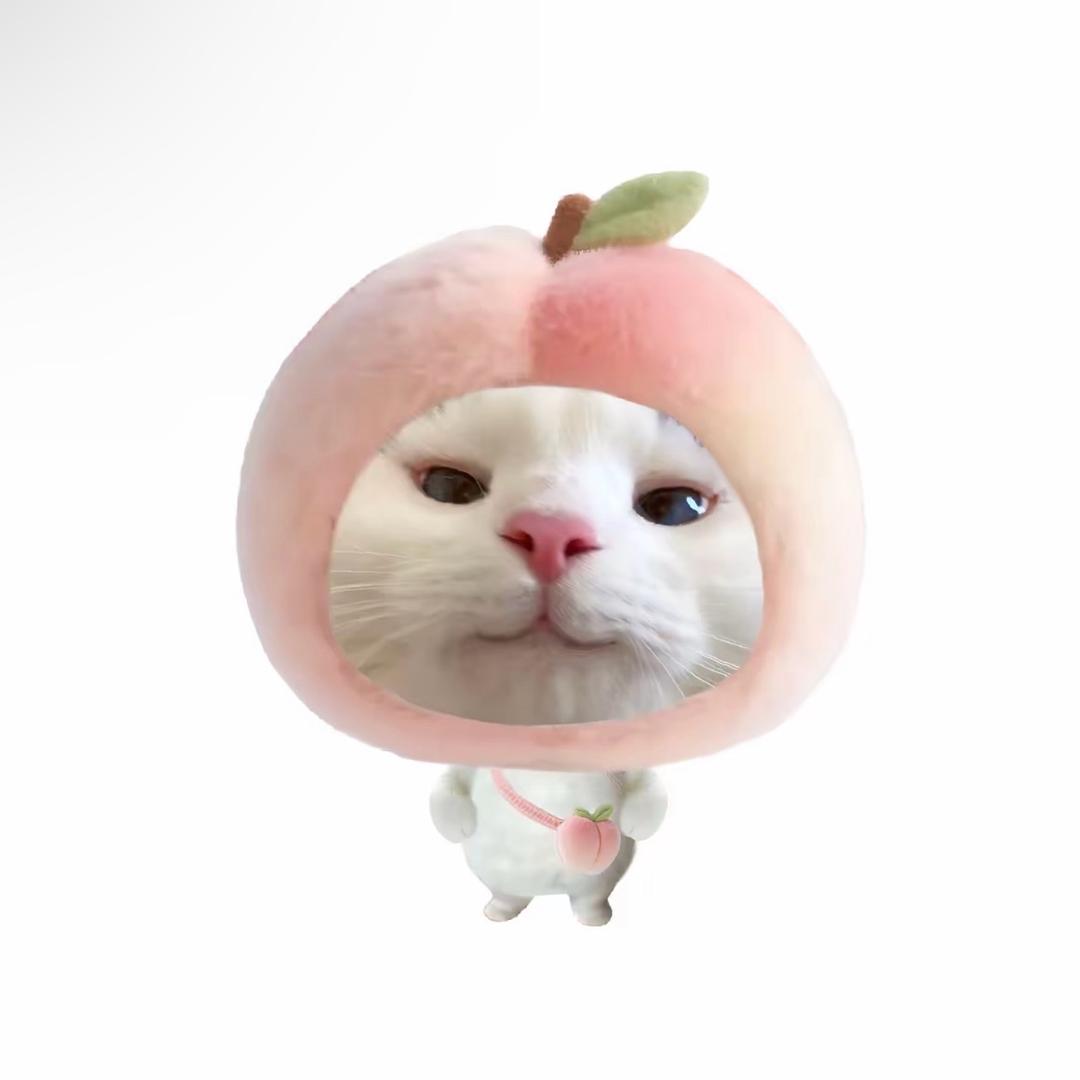 乖宝小文˃ᯅ˂