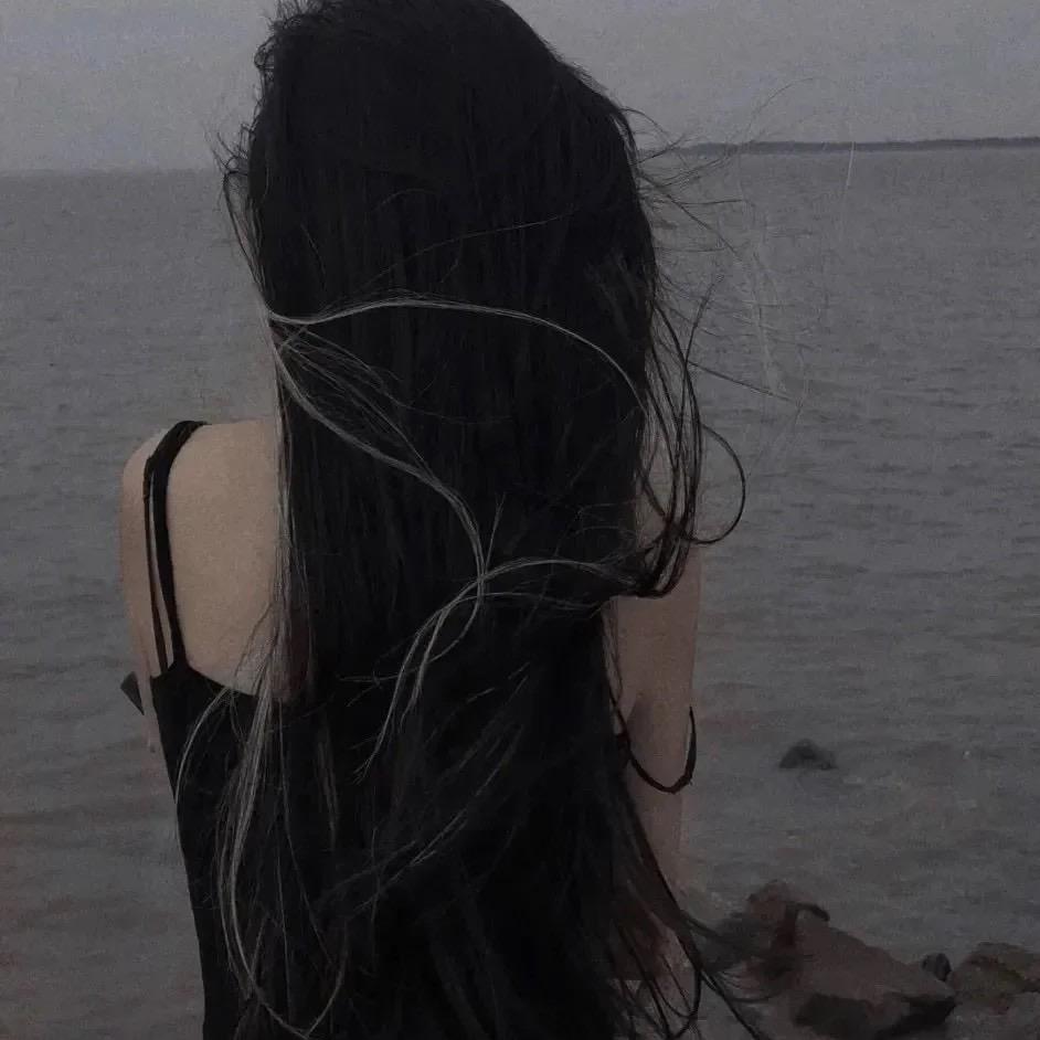 🧀️奶酪
