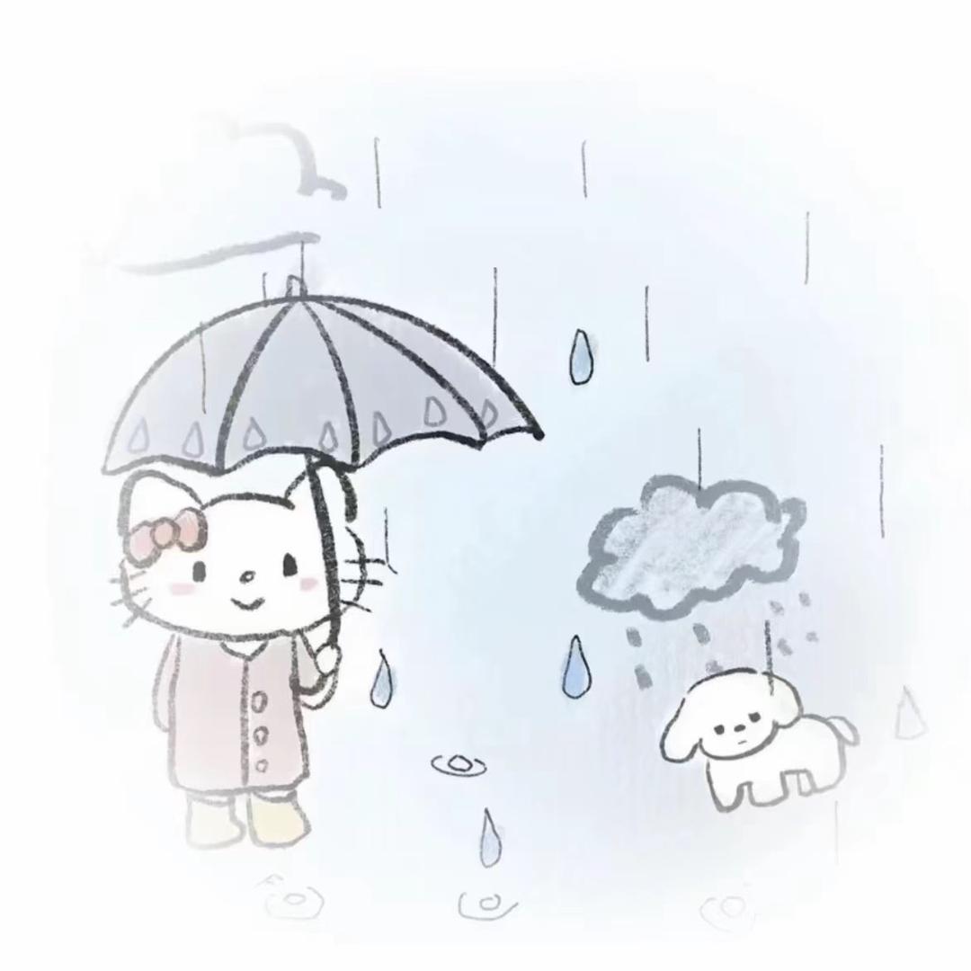 琦