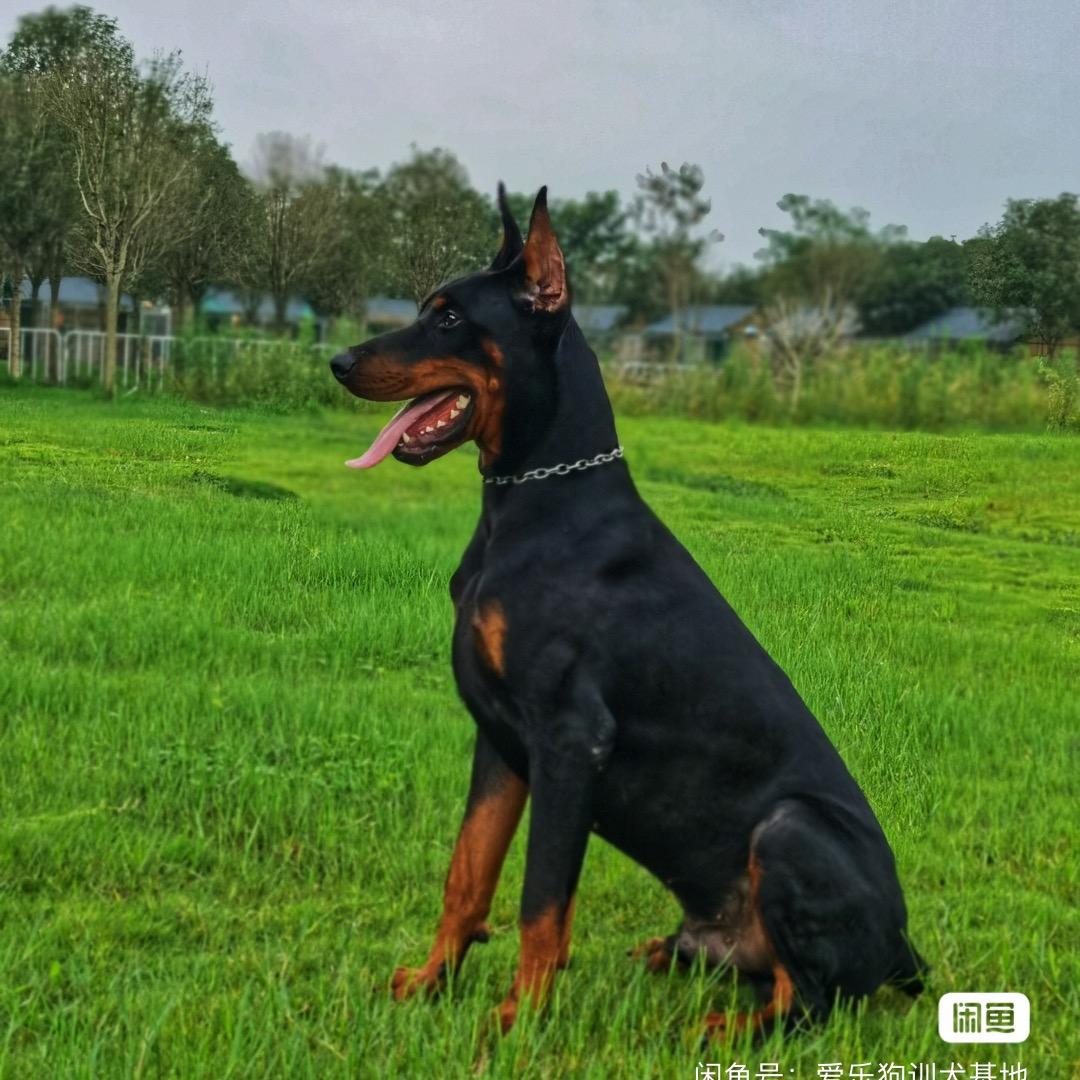 星星还是那个⭐⭐