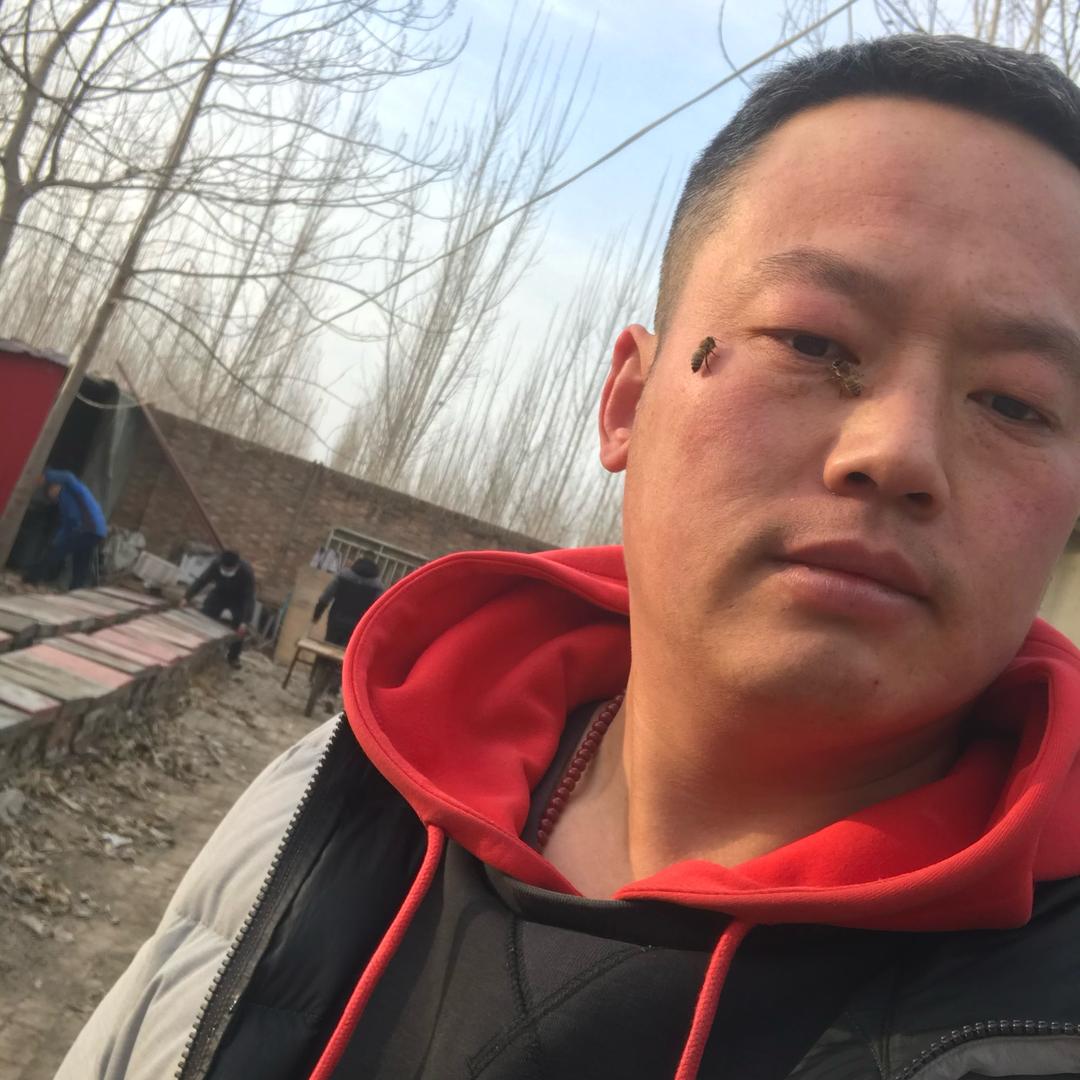 🐝鹏飞蜂蜜🍯