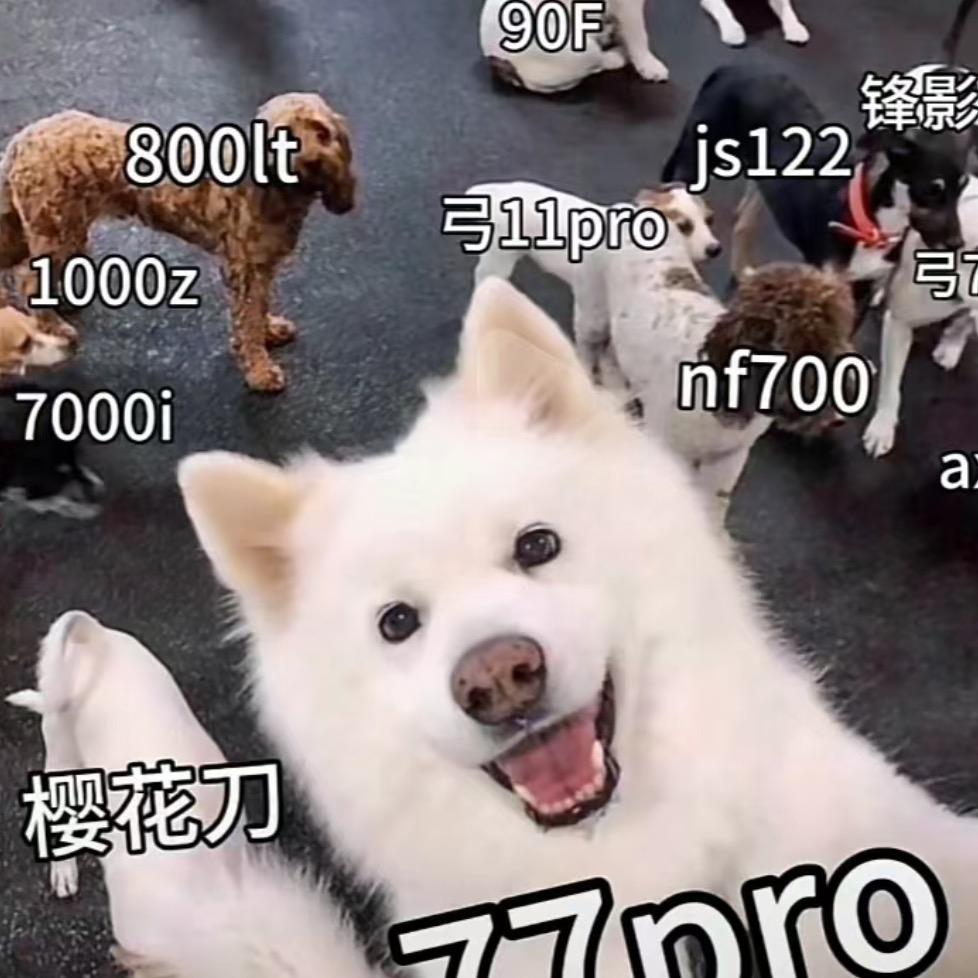 白白