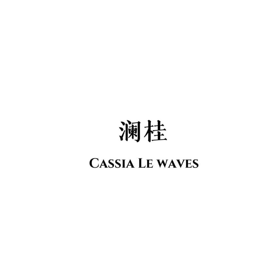 澜桂女装崇州上南街