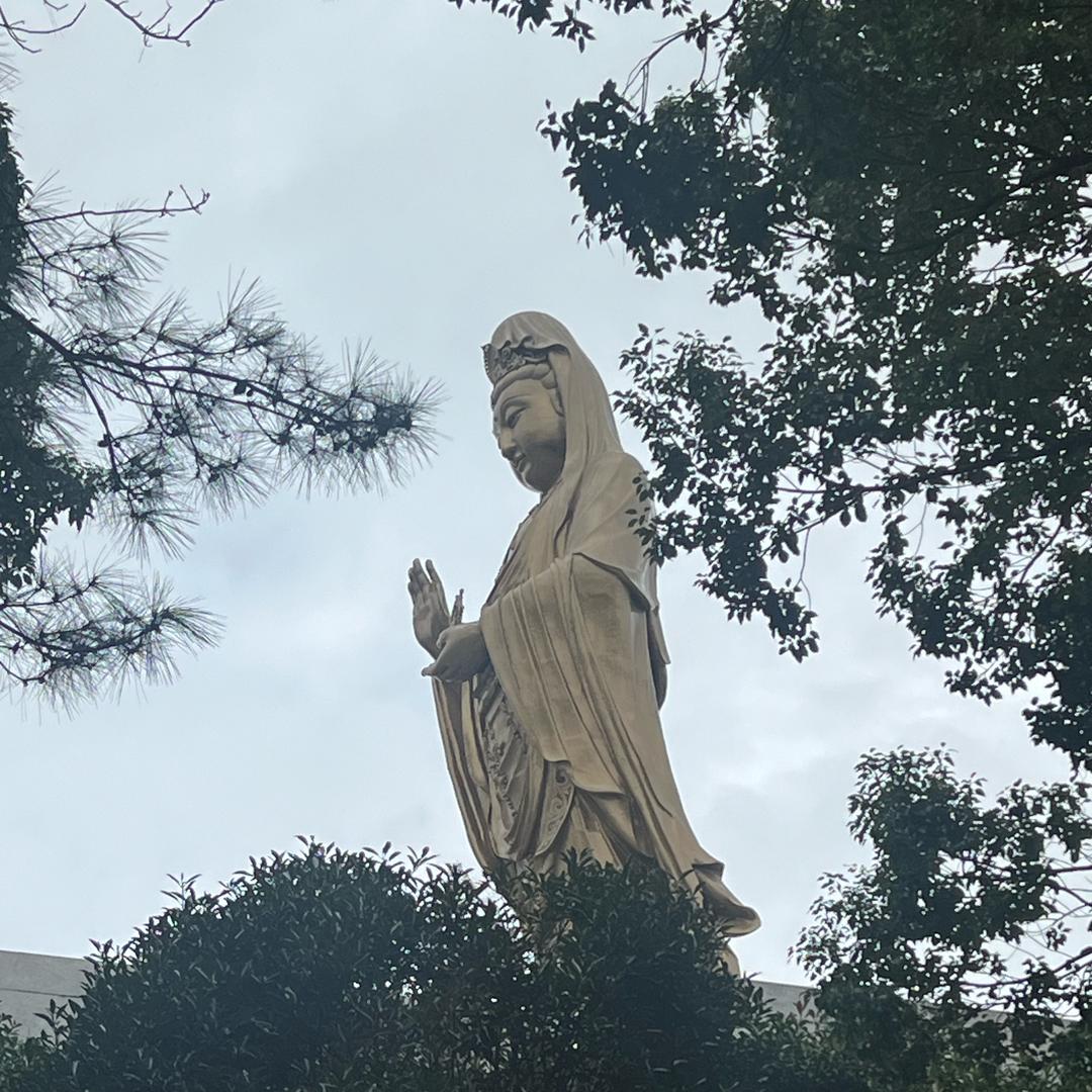 新人刚来纺织业