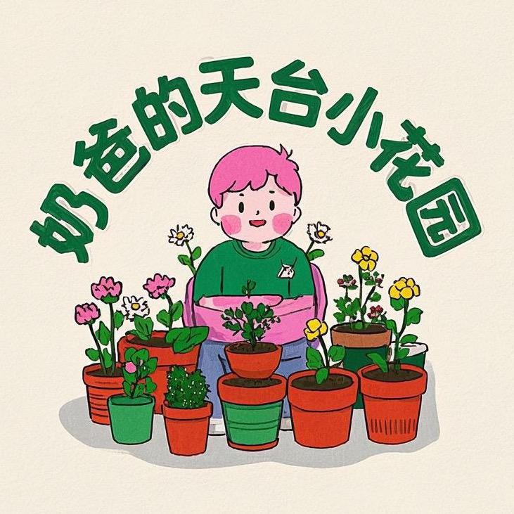 奶爸的天台小花园