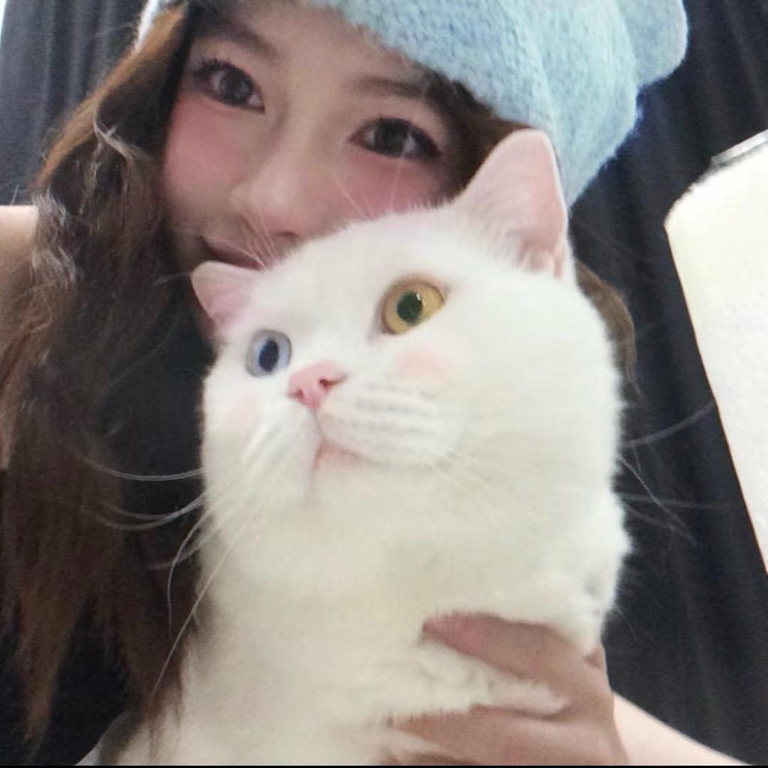 胡图图爱企鹅🐱