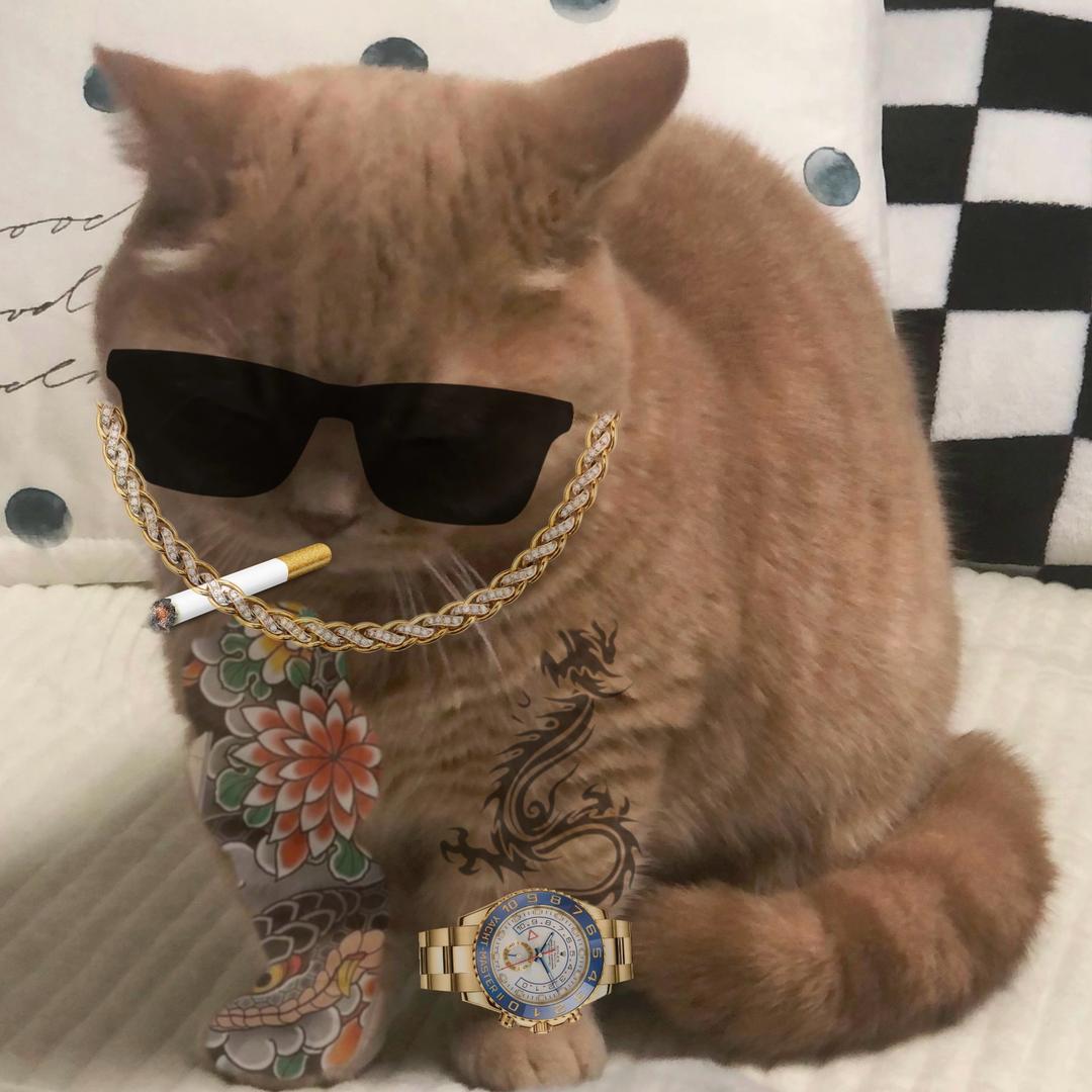 Wst