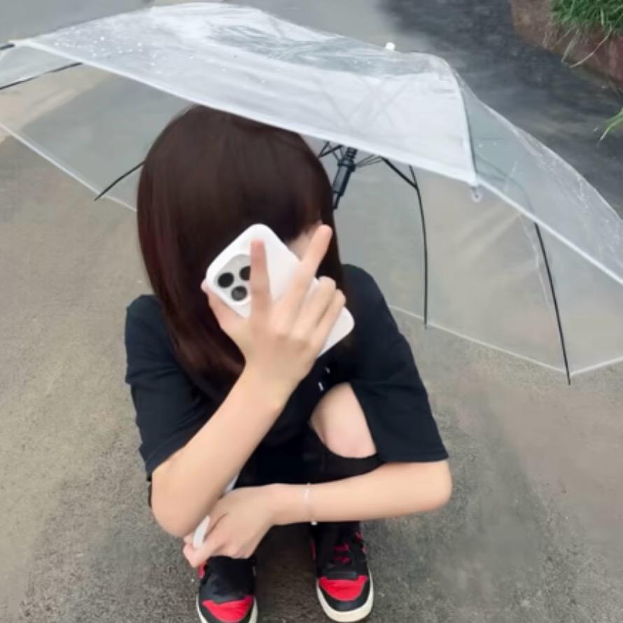 掸