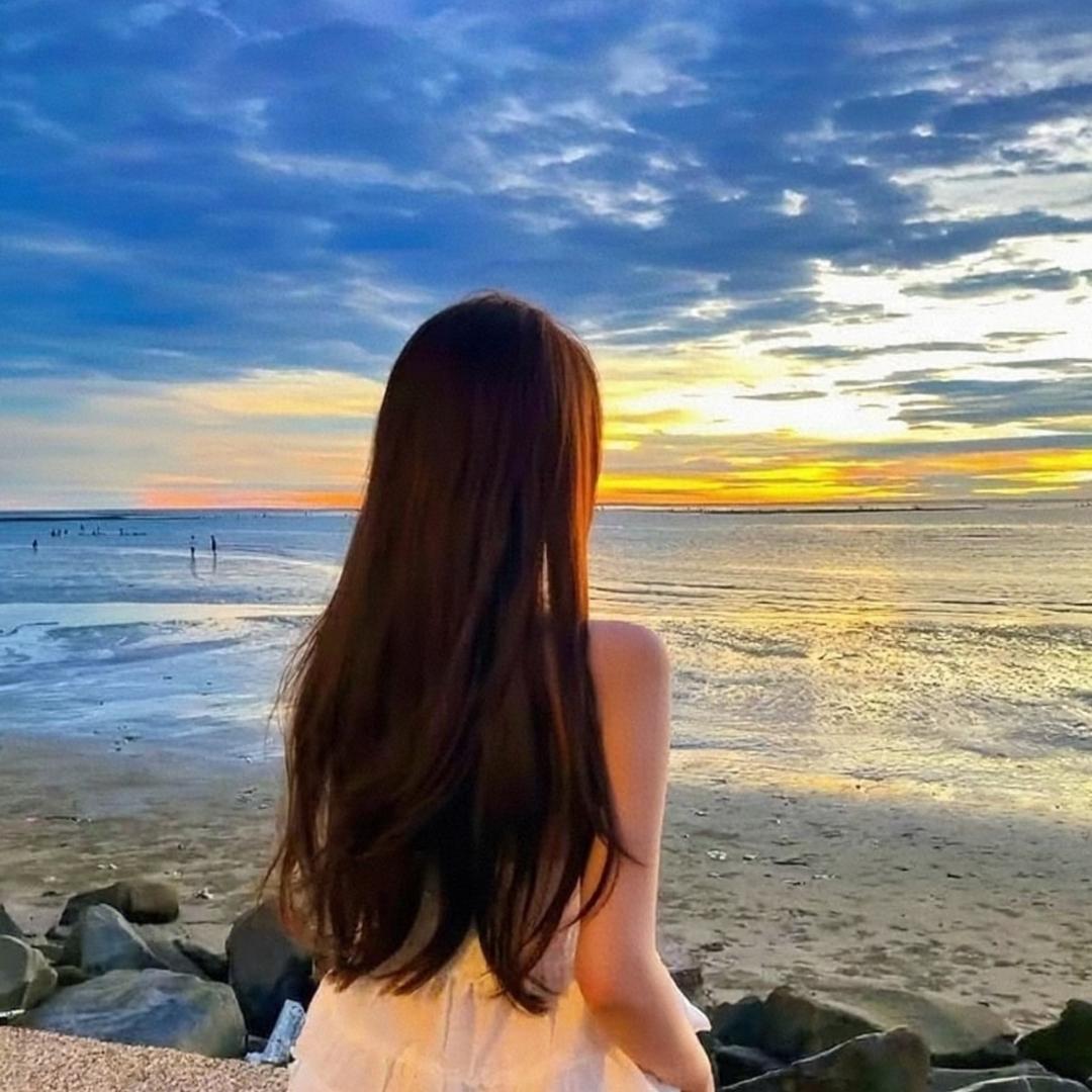 夏末玫瑰