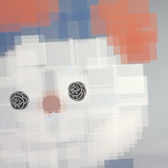 袖中雪