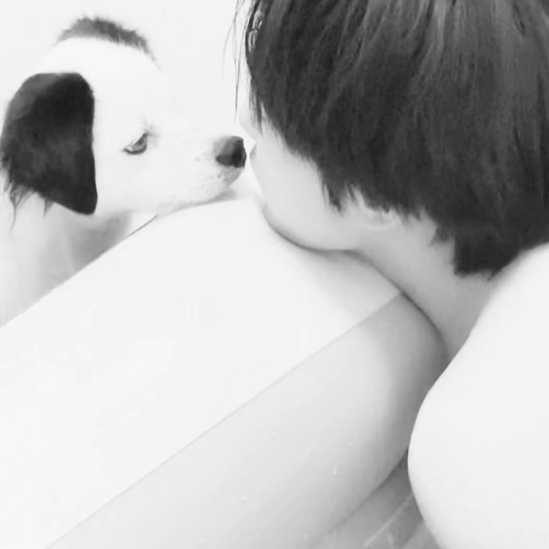 头发遮住了我的眼泪