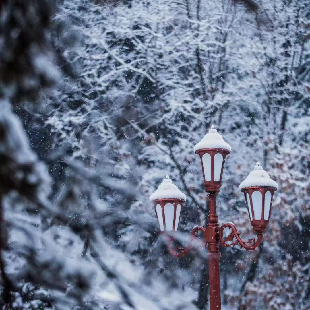 哈尔滨拾光旅游定制