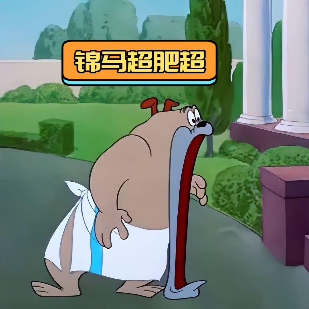 锦马超(肥超）
