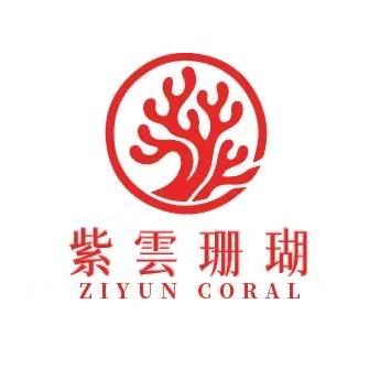 紫云璀璨饰品小铺