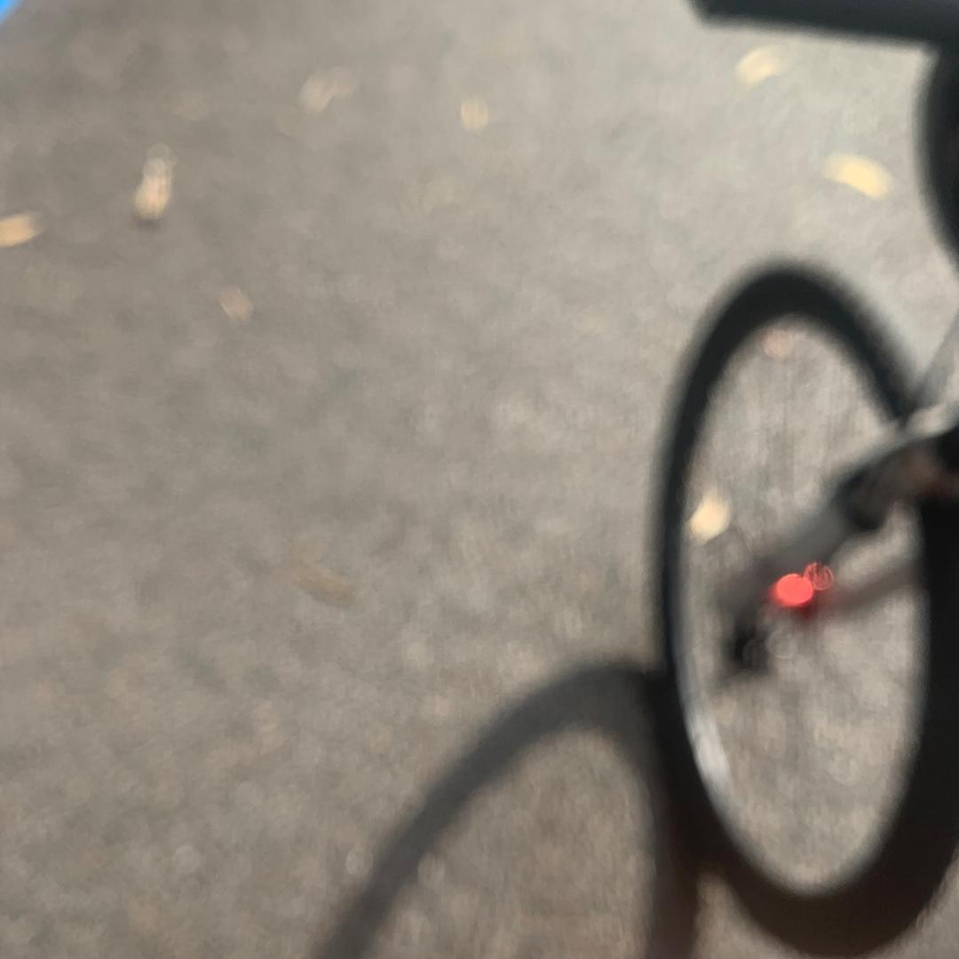 白锦（小老虎）🐯