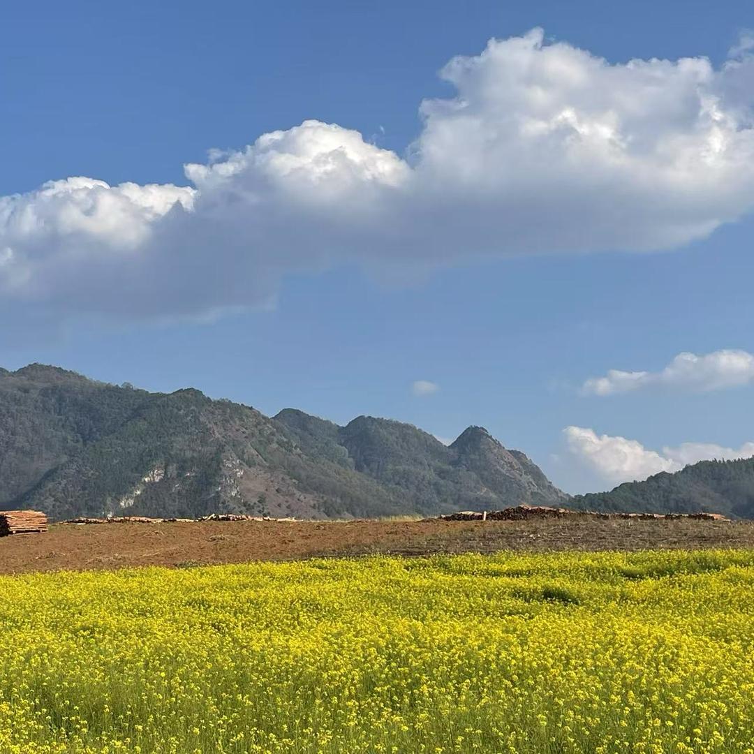 滇缅吉祥杂货铺