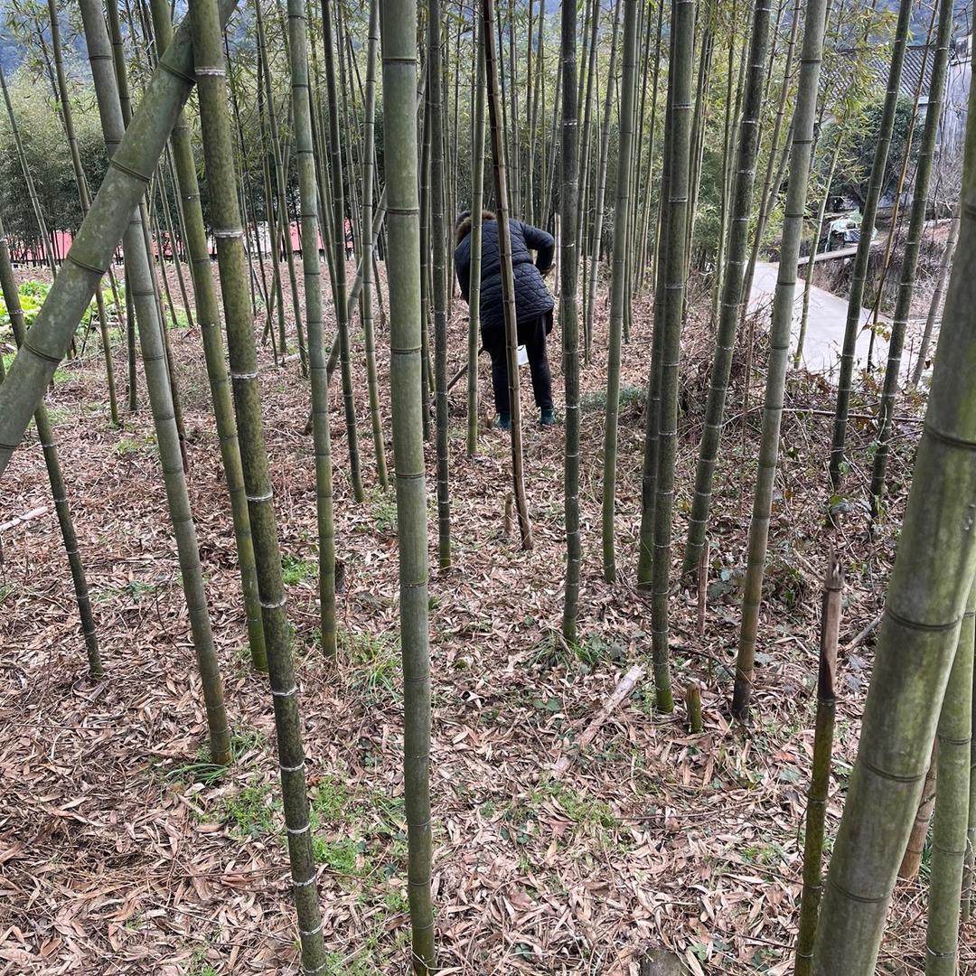 袁袁