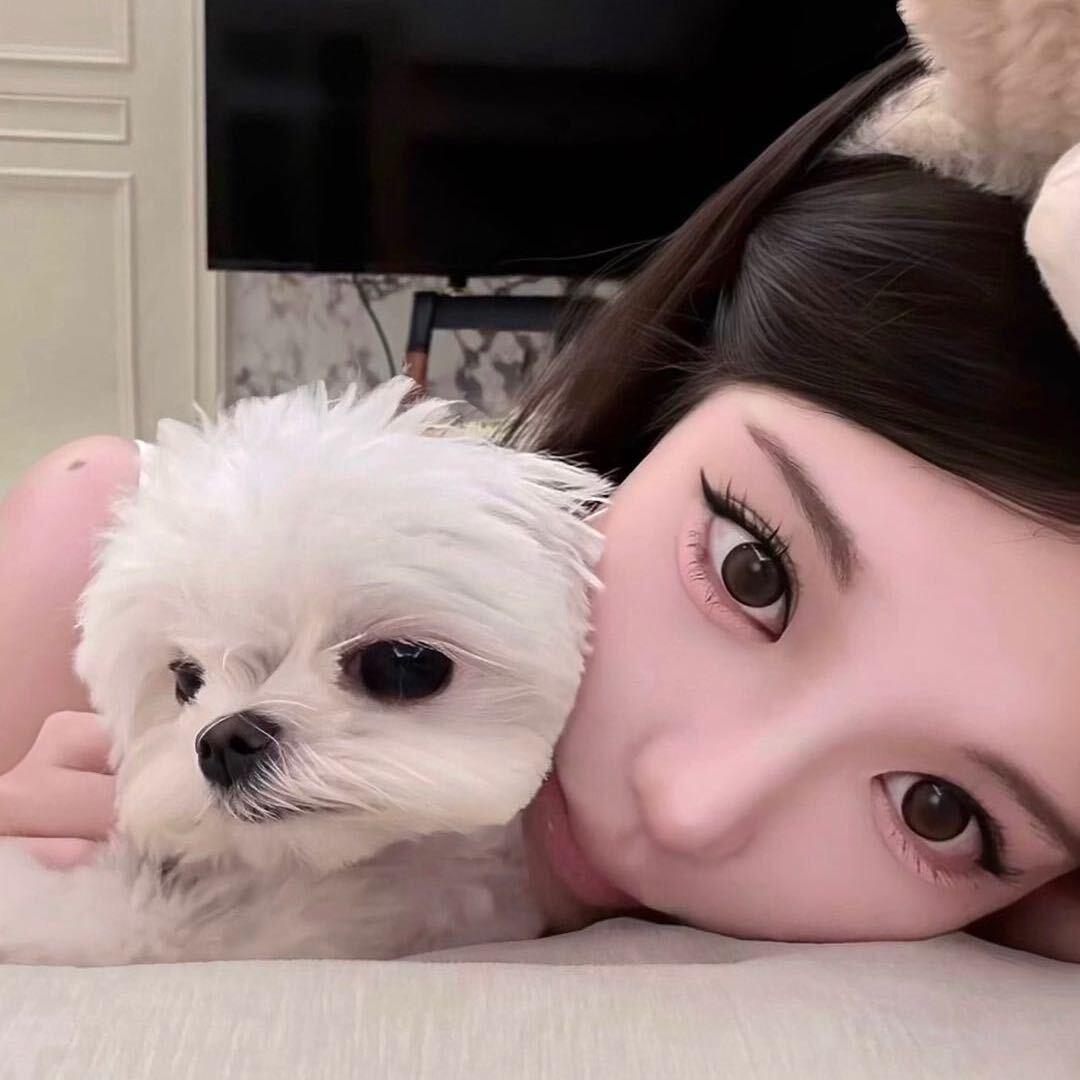 小绵羊_