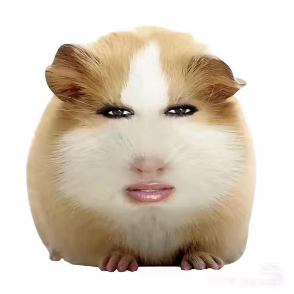 外星人👽🖕🏿