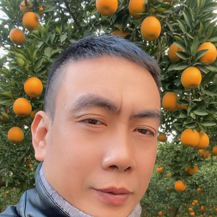 奉节脐橙吴哥（单）